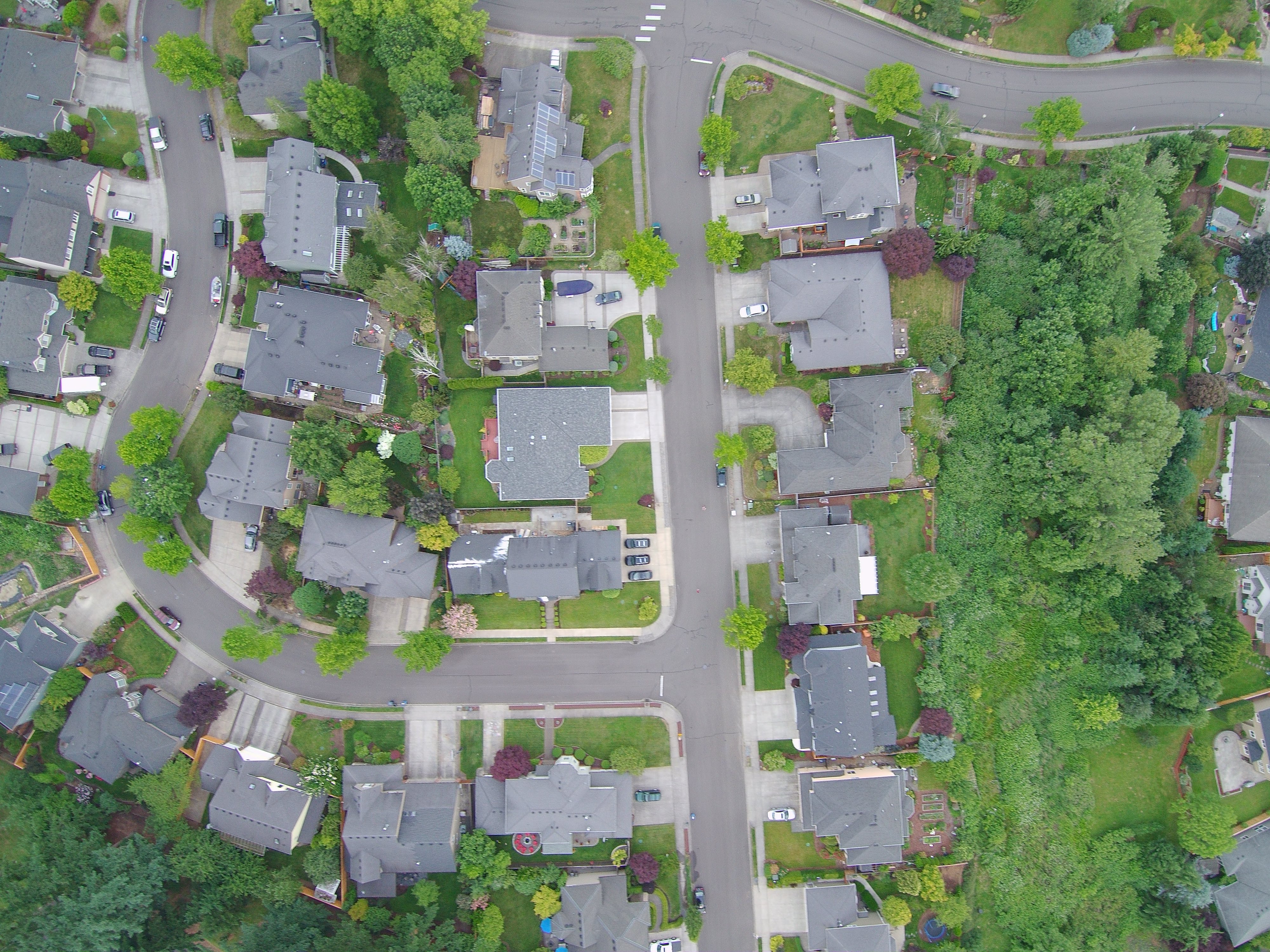 A lush suburb seen from above